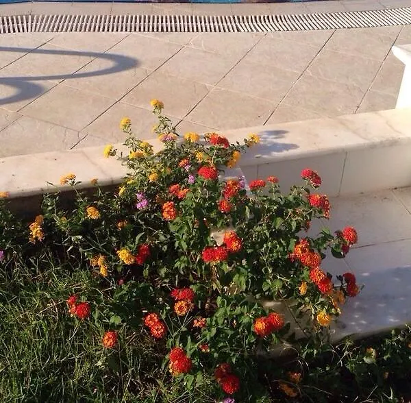 Aparthotel Pine Hill Marmaris Hotel Icmeler